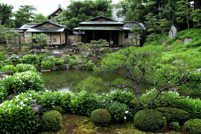 Обои картинки фото сад, хигасияма, киото, Япония, природа, парк, деревья, пруд, пагода