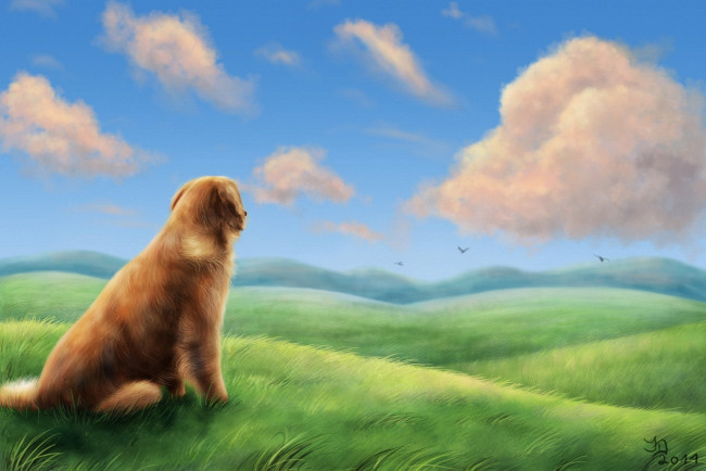 Обои картинки фото рисованные, животные, собаки, ветер, трава, поле, облака, холмы, птицы, собака