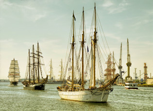 Картинка 25 +hanse+sail+2015+in+rostock корабли парусники регата
