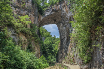 Картинка природа горы лес арка скалы