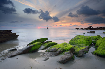 Картинка природа побережье море закат тучи водоросли камни небо