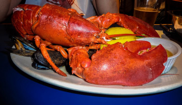обоя boston lobster, еда, рыба,  морепродукты,  суши,  роллы, лобстер