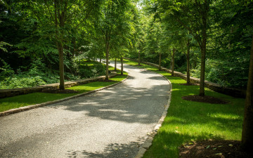 Картинка природа дороги трава дорога парк conyers farm сша аллея зелень деревья