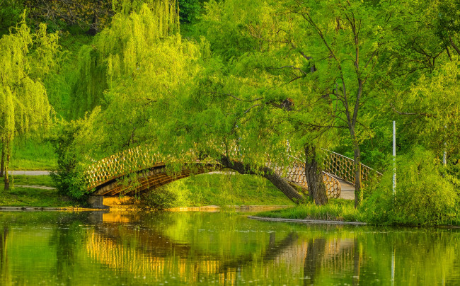 Обои картинки фото природа, парк, лес, река, мост