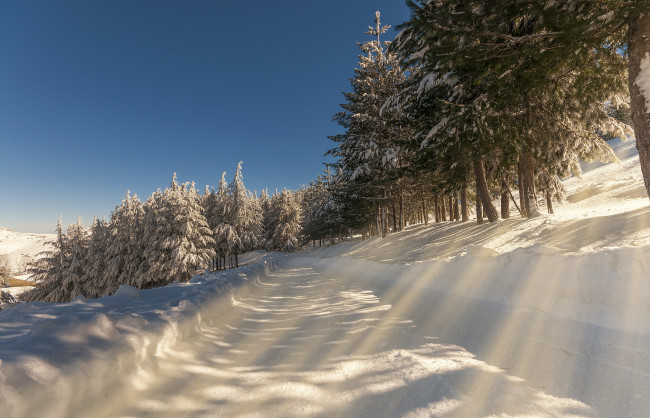 Обои картинки фото природа, зима, утро, снег, пейзаж, дорога
