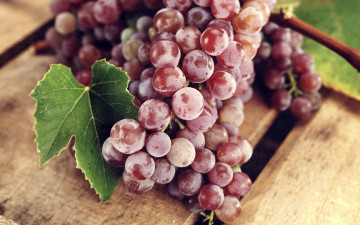 Картинка еда виноград грозди листья красный ягоды