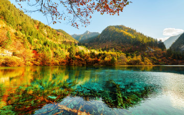 Картинка природа реки озера парк горы деревья