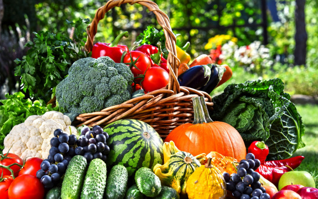 Обои картинки фото еда, фрукты и овощи вместе, перец, зелень, фрукты, корзина, сад, капуста, баклажаны, арбуз, помидоры, огурцы, тыква, овощи, морковь, яблоки, виноград