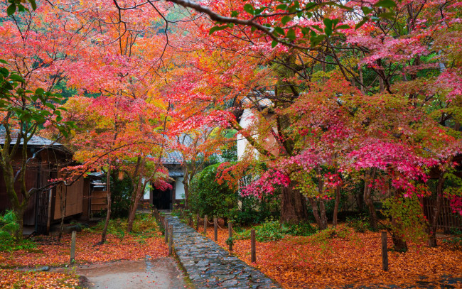Обои картинки фото города, - пейзажи, сад, дом, осень, деревья, дорожка, Япония, листья