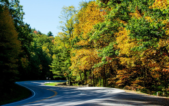 Обои картинки фото природа, дороги, деревья, осень, лес, дорога