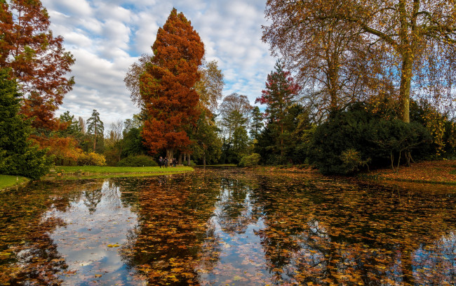 Обои картинки фото природа, реки, озера, парк, франция, деревья, кусты, люди, листья