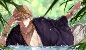 Картинка аниме fate stay+night +grand+order +apocrypha зелень вода украшения капли парень