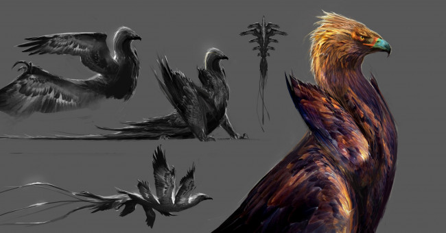 Обои картинки фото рисованное, животные,  сказочные,  мифические, хищник, птица, крылья