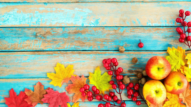 Обои картинки фото еда, Яблоки, листья, яблоки, осень