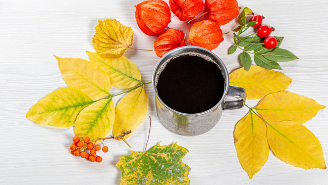 Обои картинки фото еда, кофе,  кофейные зёрна, физалис, шиповник, листья, осень