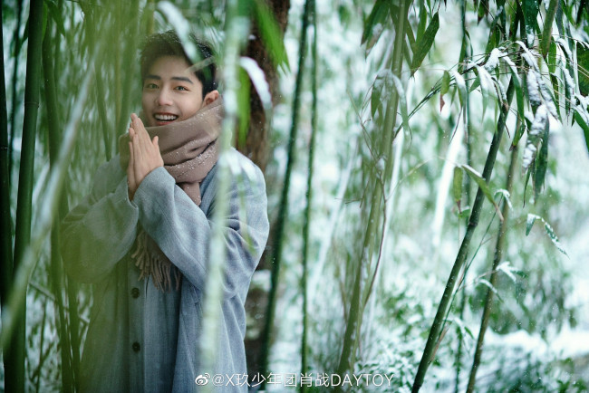Обои картинки фото мужчины, xiao zhan, актер, шарф, снег, бамбук, пальто