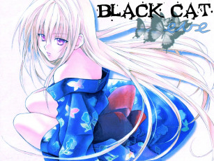 Картинка аниме black cat