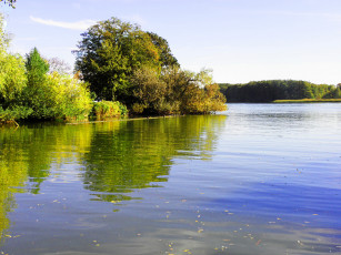 Картинка природа реки озера вода озеро деревья
