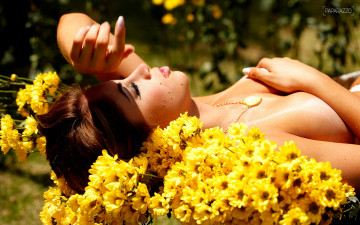 обоя Carol Narizinho, девушки, хризантемы, цветы