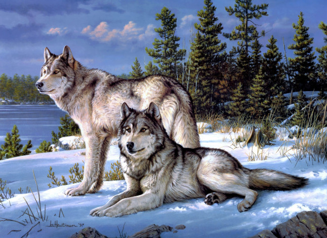 Обои картинки фото рисованные, joseph, hautman, волки
