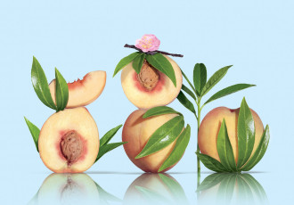 Картинка еда персики сливы абрикосы листья