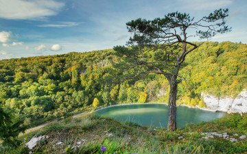 Картинка германия бавария природа пейзажи озеро лес горы деревья пейзаж