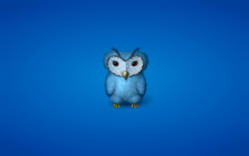 обоя рисованные, минимализм, синеватый, фон, owl, сова, птица, синяя