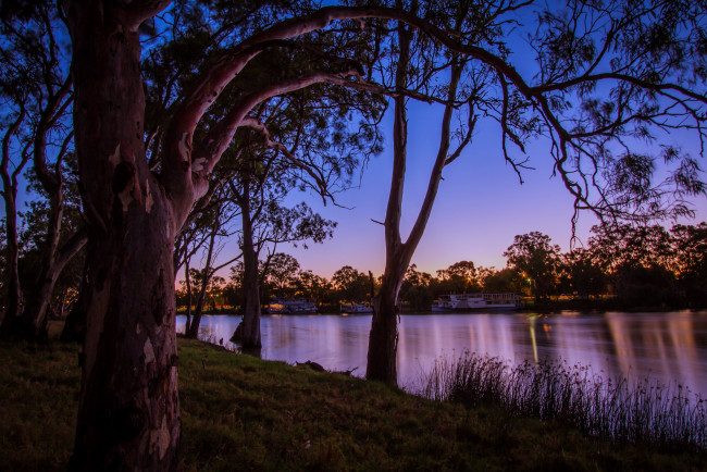Обои картинки фото mildura, австралия, природа, реки, озера, река, деревья, сумерки