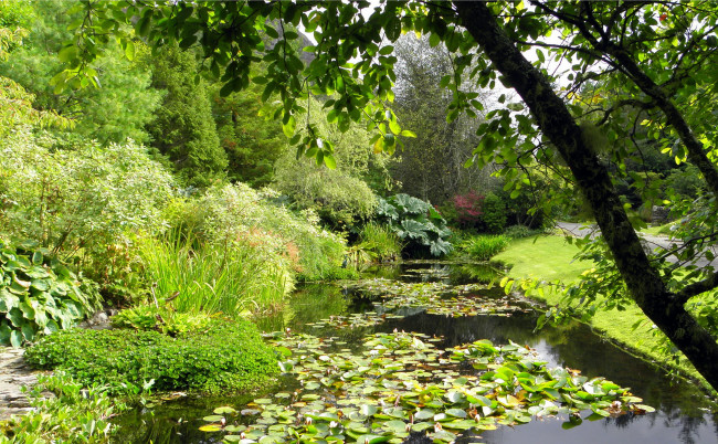 Обои картинки фото attadale gardens  шотландия, природа, парк, кусты, деревья, река, scotland, strathcarron, gardens, attadale