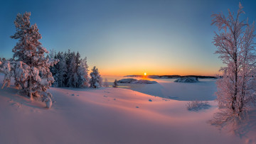 Картинка природа зима закат деревья снег