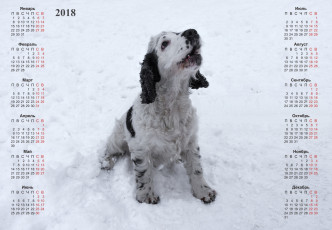 обоя календари, животные, собака, снег, взгляд