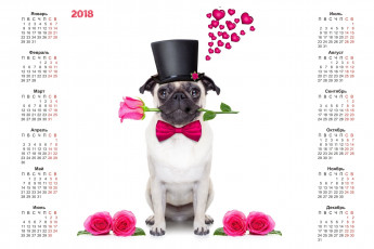 Картинка календари животные сердце собака белый фон роза шляпа