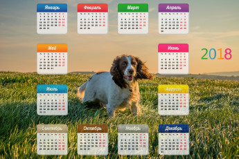 Картинка календари животные взгляд собака растения