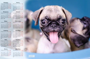Картинка календари животные взгляд морда собака