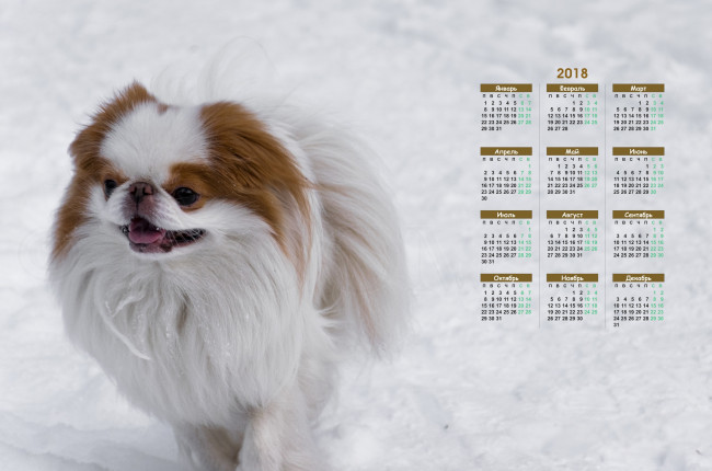 Обои картинки фото календари, животные, снег, собака