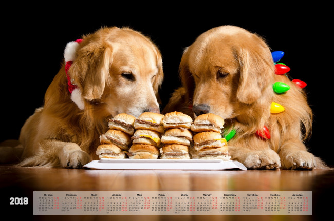 Обои картинки фото календари, животные, двое, собака, черный, фон, еда