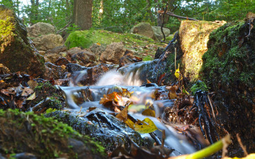 Картинка природа реки озера листья камни осень ручей лес