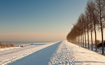 обоя природа, зима, поле, деревья, снег