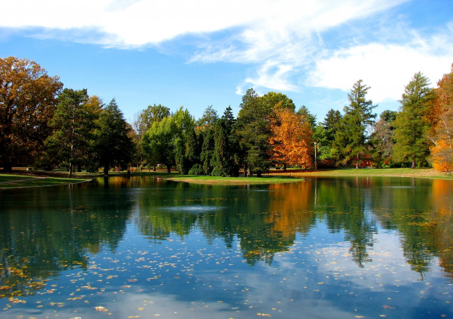 Обои картинки фото природа, парк, деревья, вода, отражение, осень