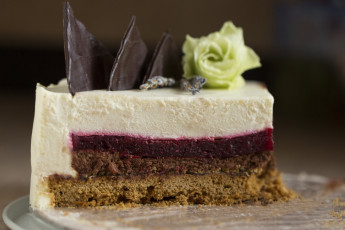 Картинка еда торты торт десерт кусок слои шоколад роза