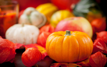 Картинка еда тыква still life vegetables осень урожай овощи autumn harvest pumpkin натюрморт