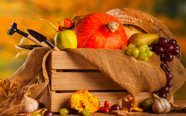 Обои картинки фото еда, фрукты и овощи вместе, осень, урожай, овощи, autumn, harvest, виноград, натюрморт, vegetables, pumpkin, still, life, ящик, тыква