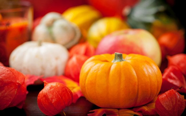 Обои картинки фото еда, тыква, still, life, vegetables, осень, урожай, овощи, autumn, harvest, pumpkin, натюрморт