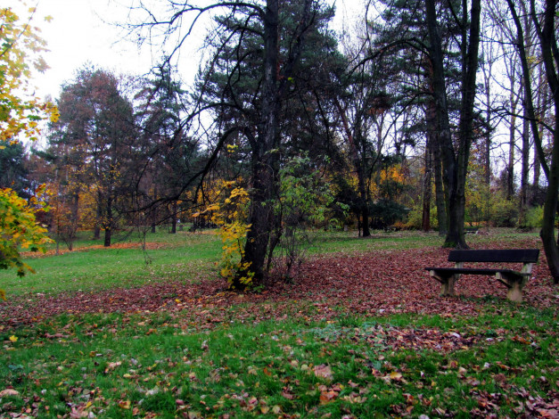 Обои картинки фото природа, парк, осень, листва, деревья, скамейка