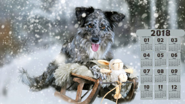 обоя календари, животные, снег, сани, взгляд, собака, игрушка, 2018