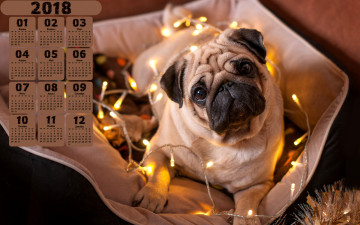 Картинка календари животные гирлянда собака 2018 взгляд