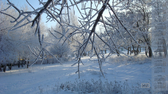 Обои картинки фото календари, природа, деревья, снег, 2018