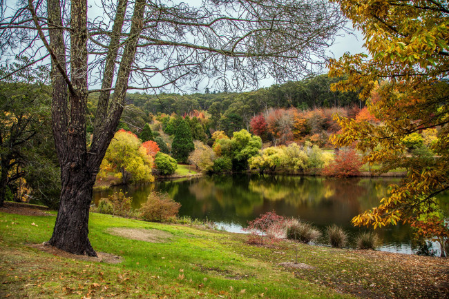 Обои картинки фото природа, реки, озера, осень, река, отражение