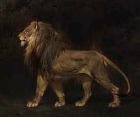 обоя рисованное, животные,  львы, лев