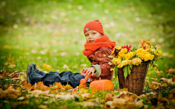 обоя разное, дети, ребенок, шарф, осень, корзина, листья, цветы